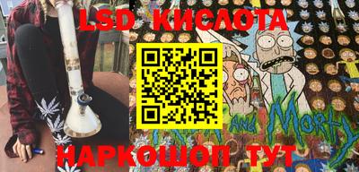 индика Новозыбков