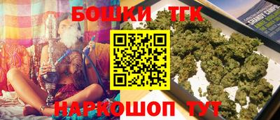 индика Новозыбков