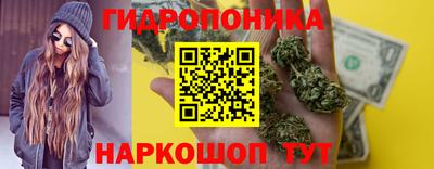 индика Новозыбков
