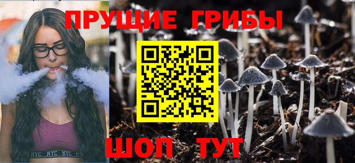 Галлюциногенные грибы MAGIC MUSHROOMS  Галлюциногенные грибы GOLDEN TEACHER  Вход с VPN  Ржев 