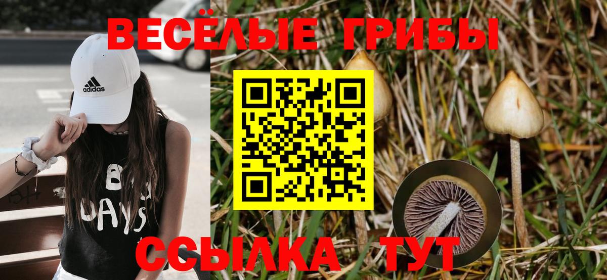 МАРИХУАНА  МАРИХУАНА  Гашиш  Ржев  Вход с VPN  КОКАИН  А ПВП СОЛЬ   ГАШ  Купить закладку  Мефедрон  
